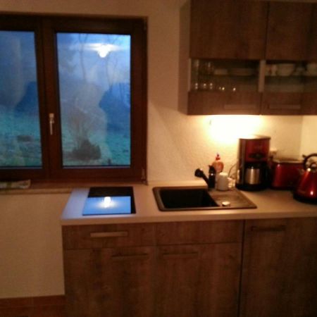 Ferienhaus Moosbachtal Thueringer Wald Bei Oberhof Rotterode Exteriör bild
