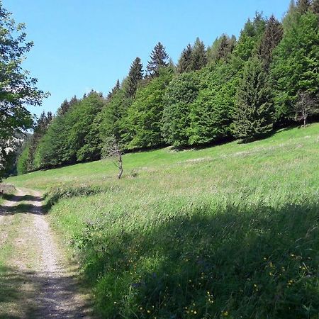 Ferienhaus Moosbachtal Thueringer Wald Bei Oberhof Rotterode Exteriör bild